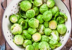 CRUCIFEROUS PART 2: Don’t like Brussels Sprouts?