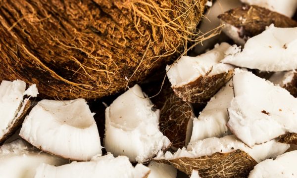 The Coconut Case – Nutrition Factors Blog