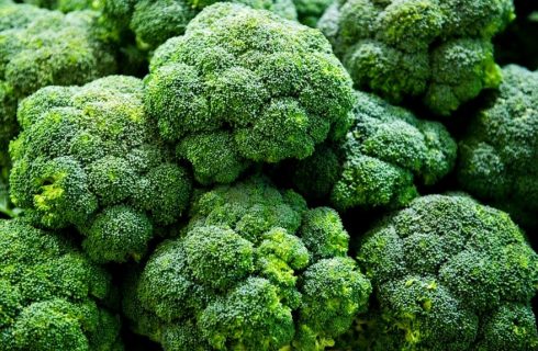 CRUCIFEROUS PART 3: It’s the BEST Time of Year for Broccoli