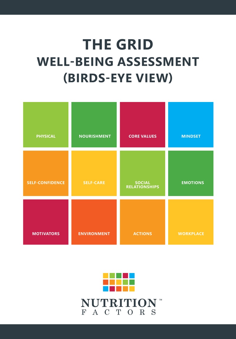 module_pdfs/The_Grid_Well-Being_Assessment_Birds-eye-view2023_2_thumb.png