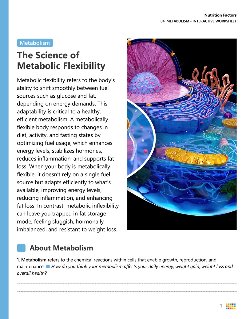 worksheet_pdfs/Worksheet_-_4._Metabolism_thumb.png